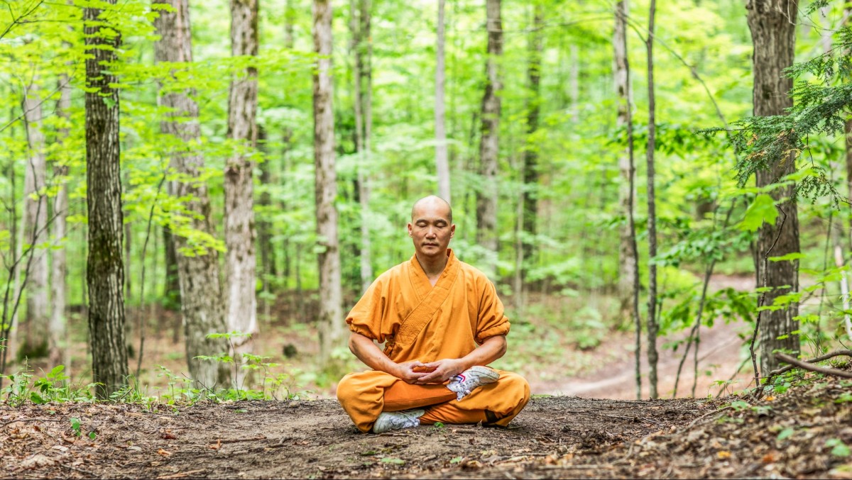 /assets/image/20240828-Dao-Shi-Forest-Meditation-2000w-162-v1-Wl44.jpg