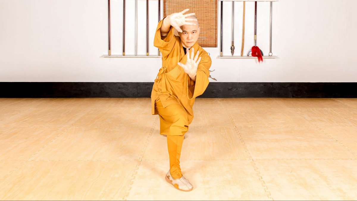 /assets/image/STQI-Master-Dao-Shaolin-Tai-Chi-Rouquan-Release-2000w-162-v1-k951.jpg